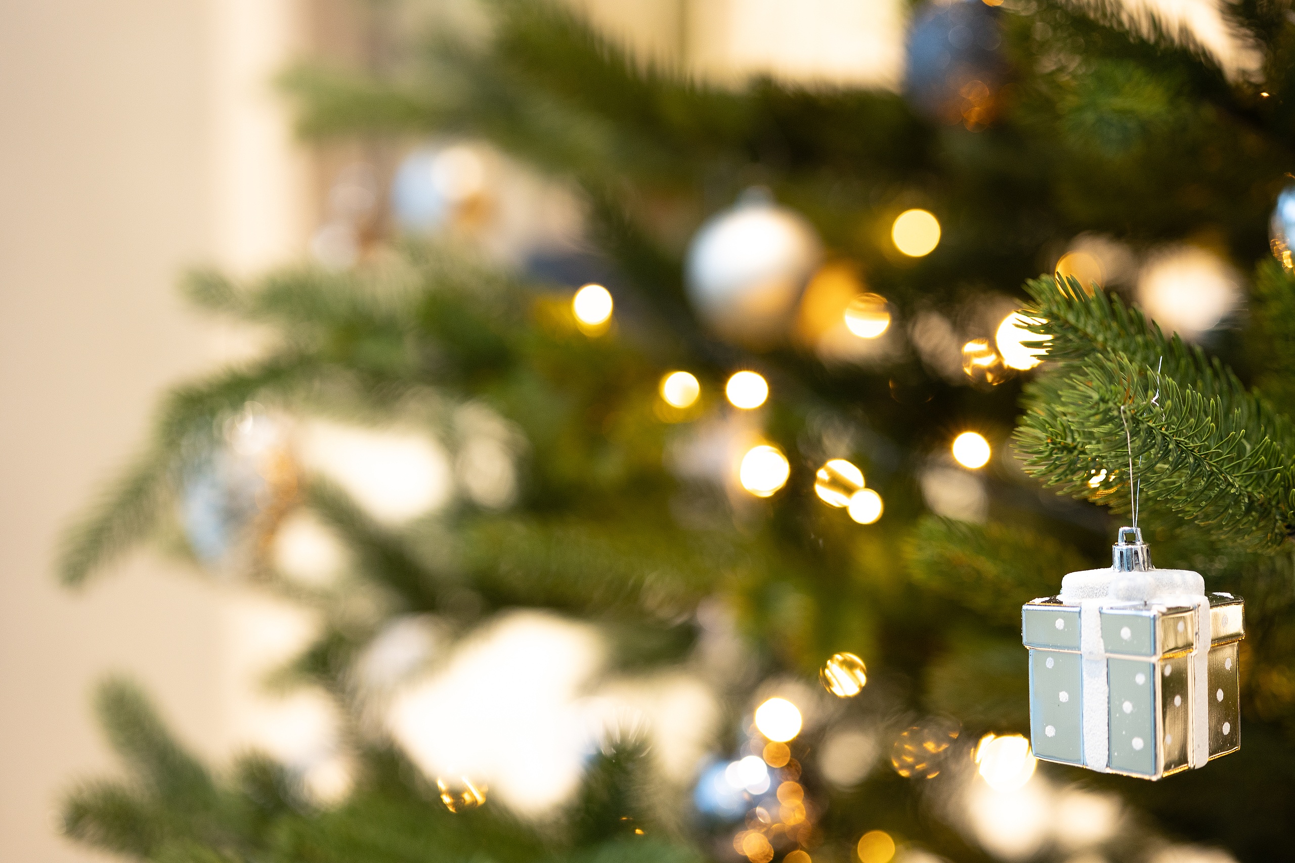 Weihnachtsbaum Vetter