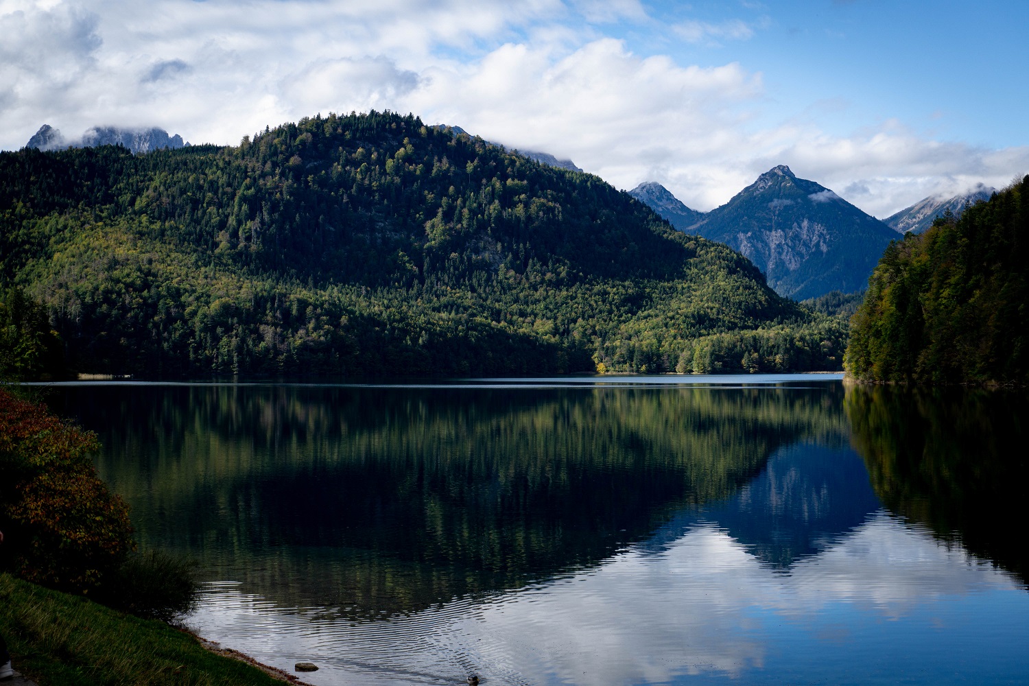 See mit Berge und Bäumen im Hintergrund 